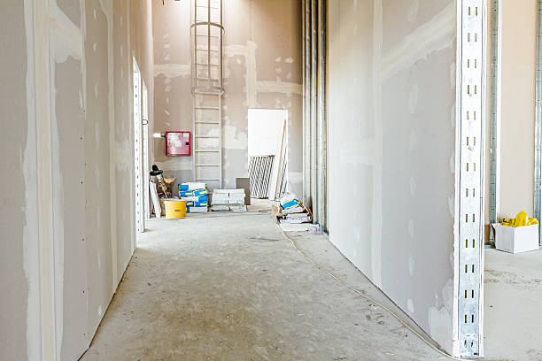 Professional Drywall & Painting Services in Fairview Shores, FL